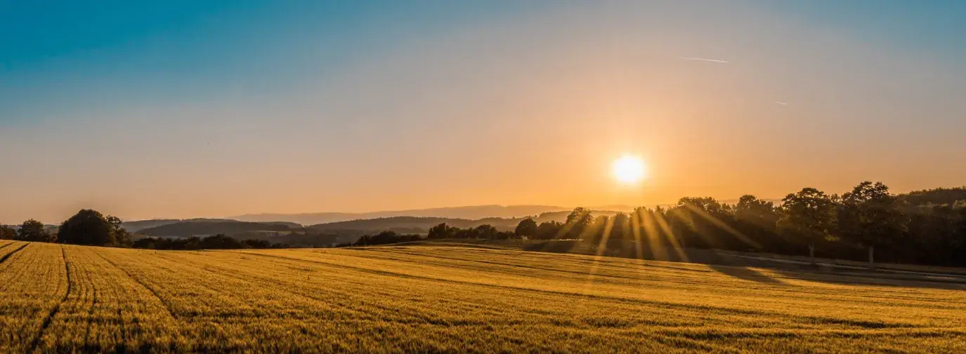 farm field with sun setting