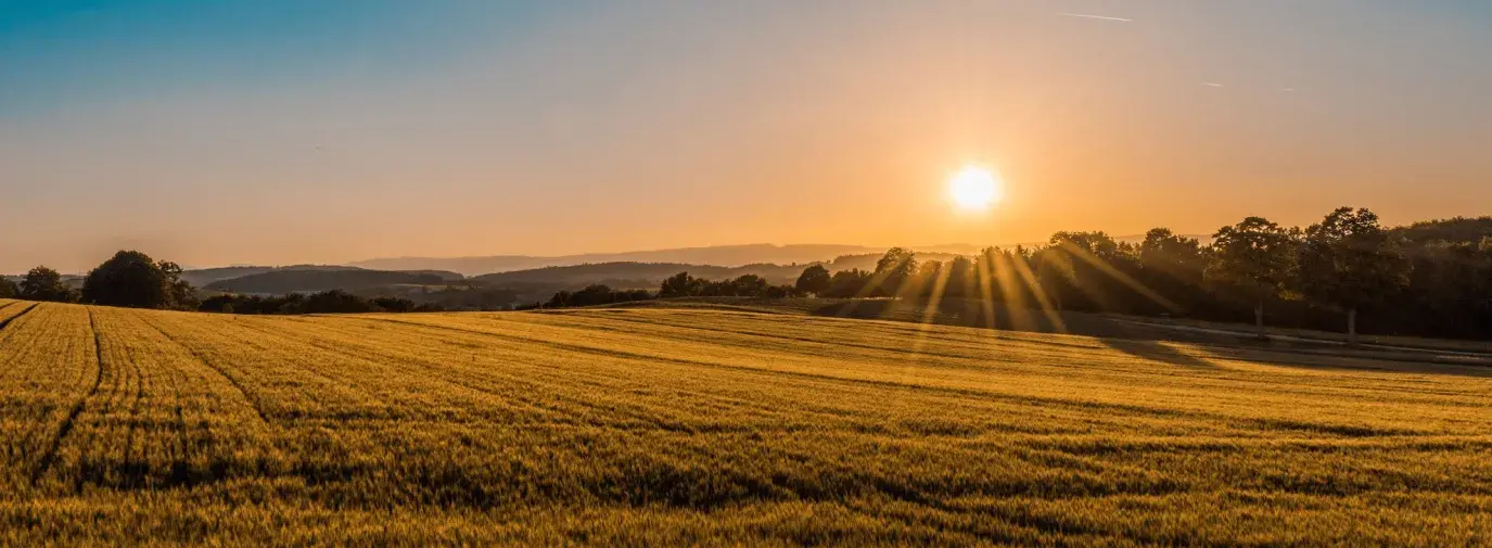 farm field 