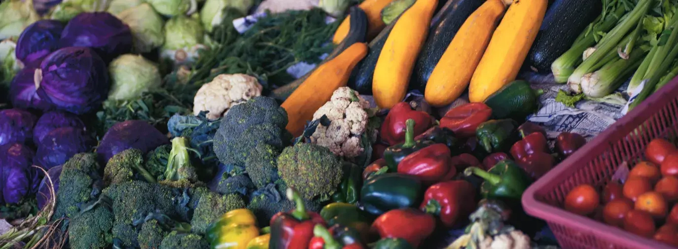 A plethora of vegetables; red, yellow, and green peppers; purple cabbage; green broccoli; cauliflower; yellow zucchini