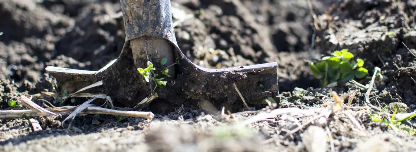 shovel in ground