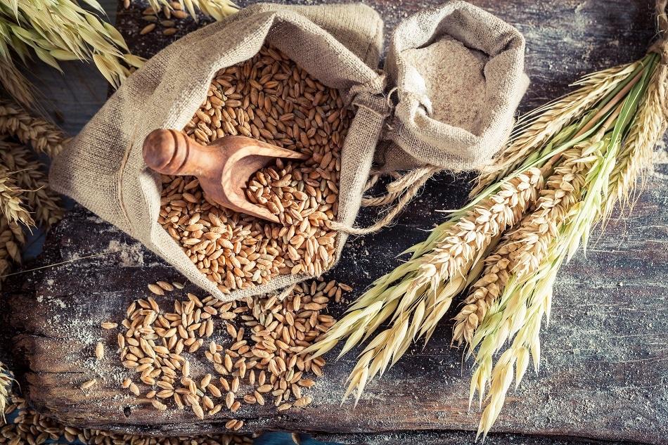 An open bag of spilling grains. Sustainble summer.