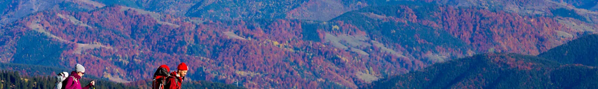 Impage: people hiking on a mountain. Topic: Green America's Staff & Board of Directors