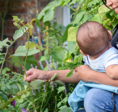 NIcky Schauder weeding with her child.