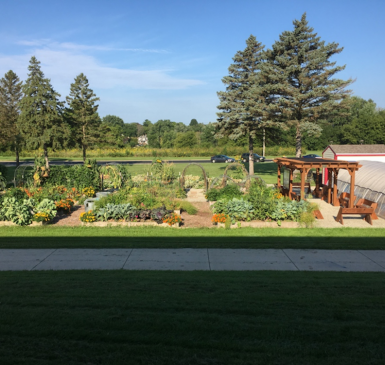 Image: school climate victory garden