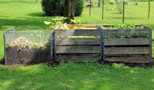 compost area