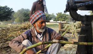 man holding sugar cane 