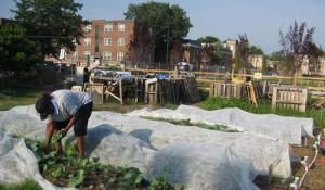 common good city farm