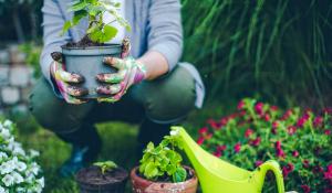 woman in her garden with plants and watering can