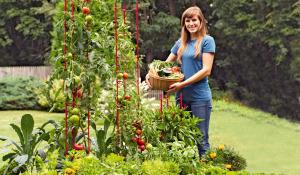 Stacking tomato ladders from Gardener's Supply