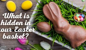 chocolate bunny with text "what is hidden in your Easter basket?"