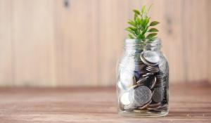 A clear jar full of coins with a small plant sprouting from thetop. Public Banking.