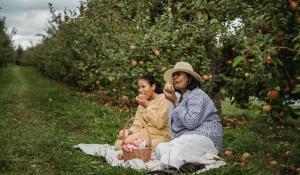 An Indian American mother and daughter sitting on a picnic blanket in an apple orchard. They are savoring bites of the apples that they picked together.