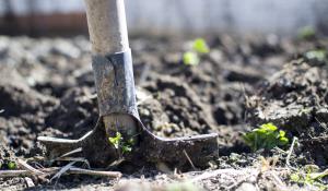 shovel in ground