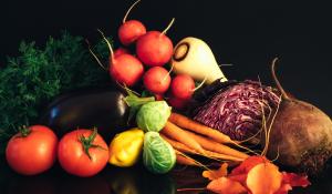 A still life of red radishes, red tomatoes, a shiny eggplant, leafy greens, crunch purple cabbage, an unpeeled beet, a fresh turnup, a bunch of carrots, a tiny yellow squash, and hearty green Brussels sprouts.