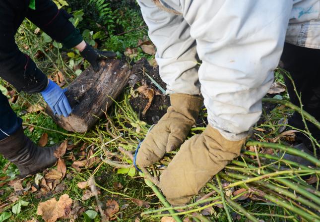 Image: mittened hands working a garden. Topic: 10 ways to prepare your garden for winter