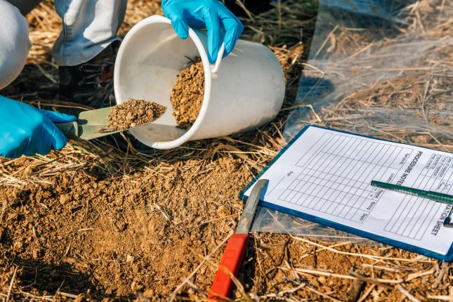 person adding soil to bucket for soil testing in climate victory garden