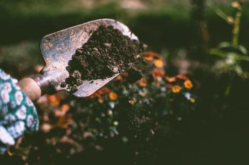 Image: shovel of soil in garden. Title: Soil Testing in your Climate Victory Garden 