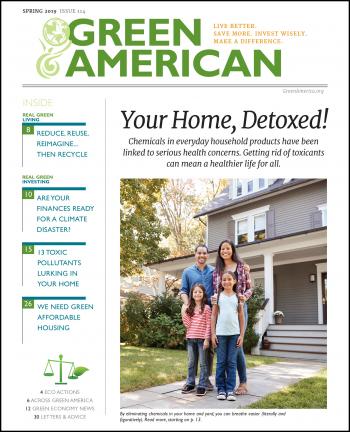 Cover of your home detoxed