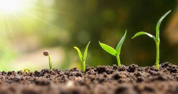 Image: seedlings sprouting from dirt. Title: Green America Welcomes Five Newly Elected Board Members