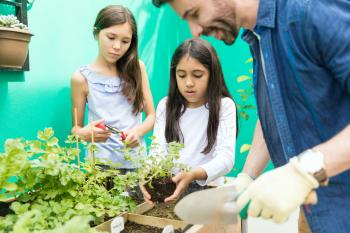 Image: man and two children gardening. Title: Finding Garden Supplies During Lockdown