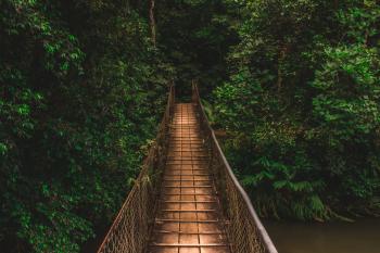 Image: rope bridge in forest. Title: COVID-19: Crisis and Call to Humanity for a Better Way Forward 