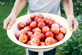 No GMO Apples