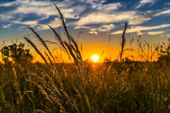 sunset over farm field